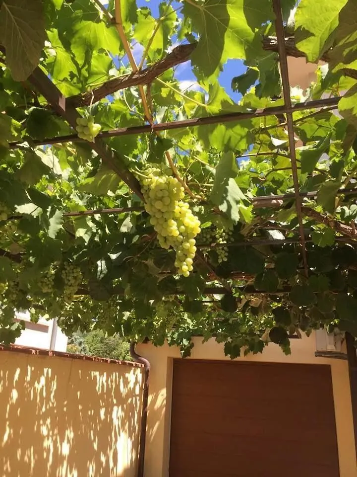 Apartament Lion1, Schwarzmeertraum, Stilvoll, 7 Minuten Zum Strand, Wlan Gratis Burgas City